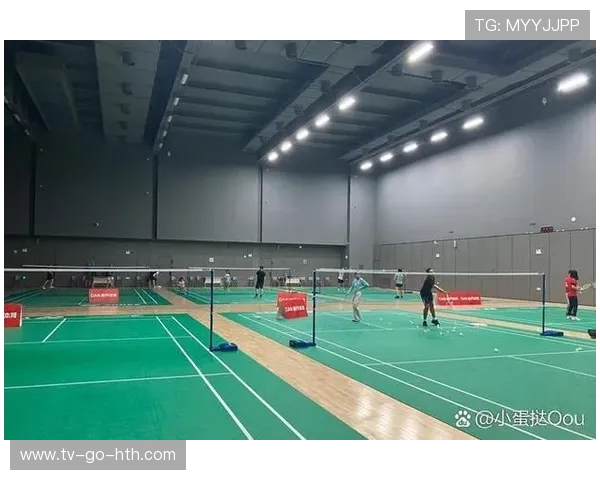 杭州羽毛球队与深圳羽毛球队速度对比赛后分析与总结