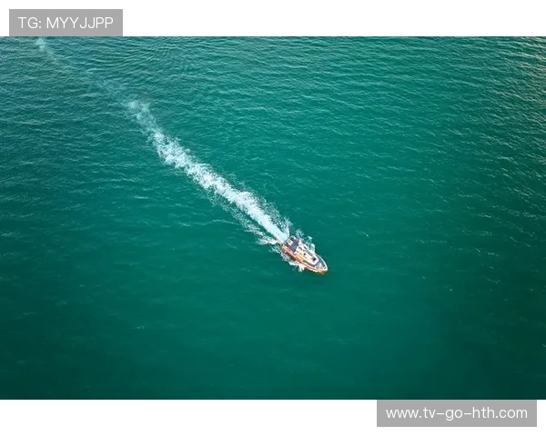 西安极限运动队荣获全国团队协作排行榜第三名的辉煌成就