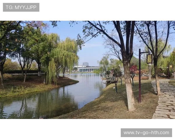 拿加科普与河内的较量探秘两座城市的文化与发展之路
